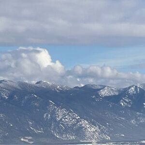 Meet your Posher, Reem